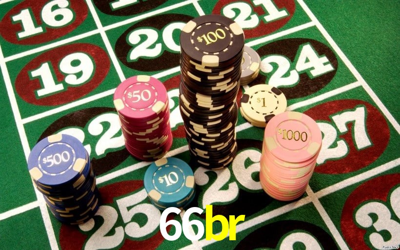 Experiência VIP 66br